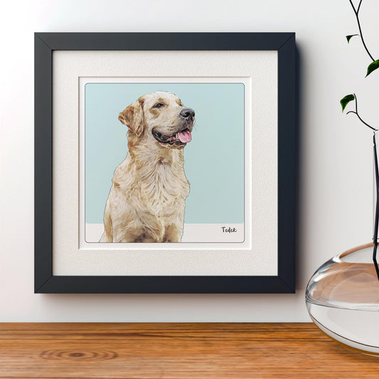 Kolorowy portret psa, labradora na niebieskim tle. Oprawiony w białe Passe-partout i czarną drewnianą ramę.