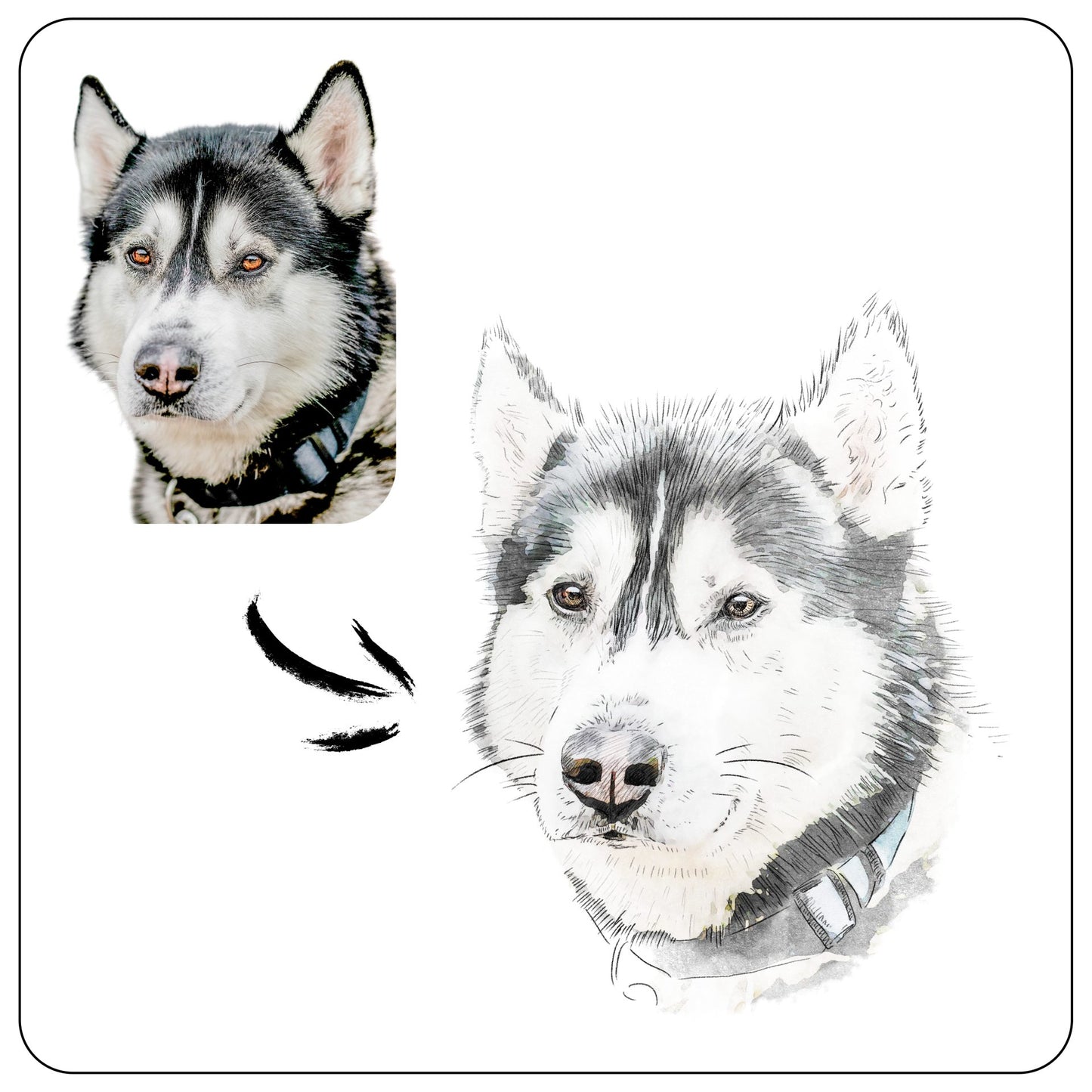 Personalizowany obraz psa husky – porównanie zdjęcia oryginalnego i efektu końcowego