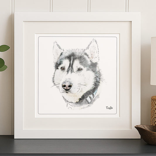 Personalizowany portret psa rasy husky wykonany na podstawie zdjęcia