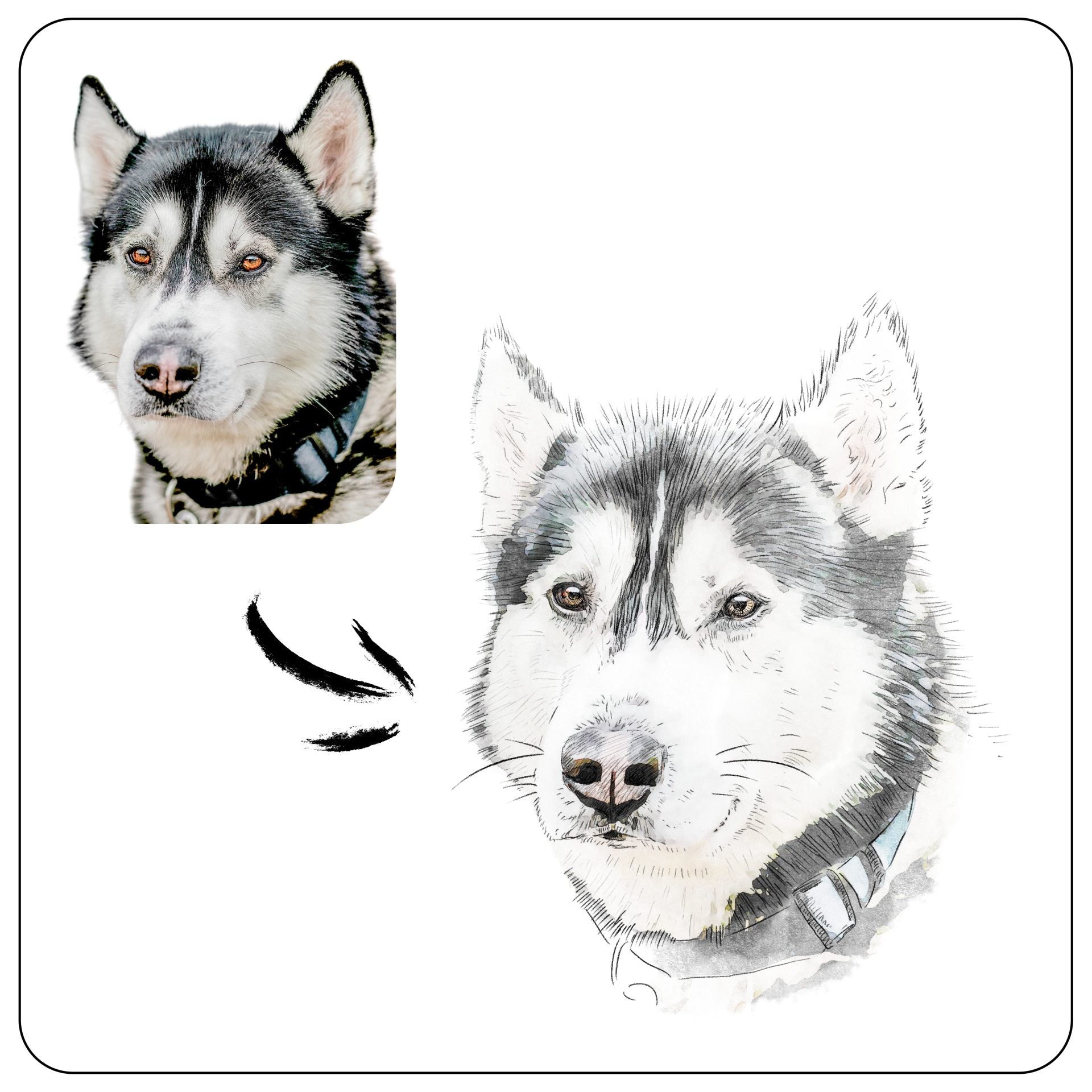 Personalizowany obraz psa husky – porównanie zdjęcia oryginalnego i efektu końcowego