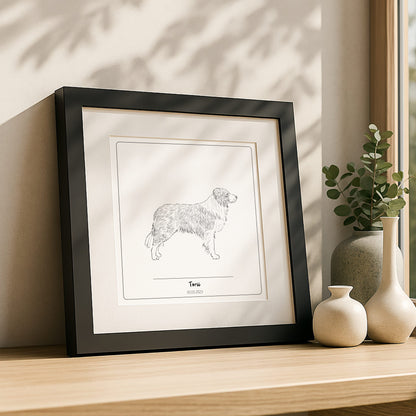 Obraz border collie – personalizowany portret psa ze zdjęcia